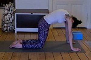 Aktivierung WS Moment