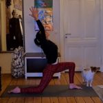 Aufbau Wahrnemung Modul 3 Moment 150x150