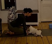 Bewegungen Im Sitzen Moment