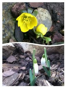 fb img 1488303598414