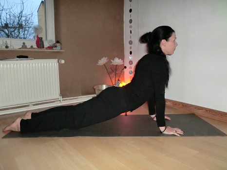 Heraufschauender Hund