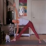 Koerperenergie Moment7 150x150