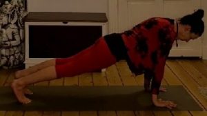 Skype 14 Moment 300x168